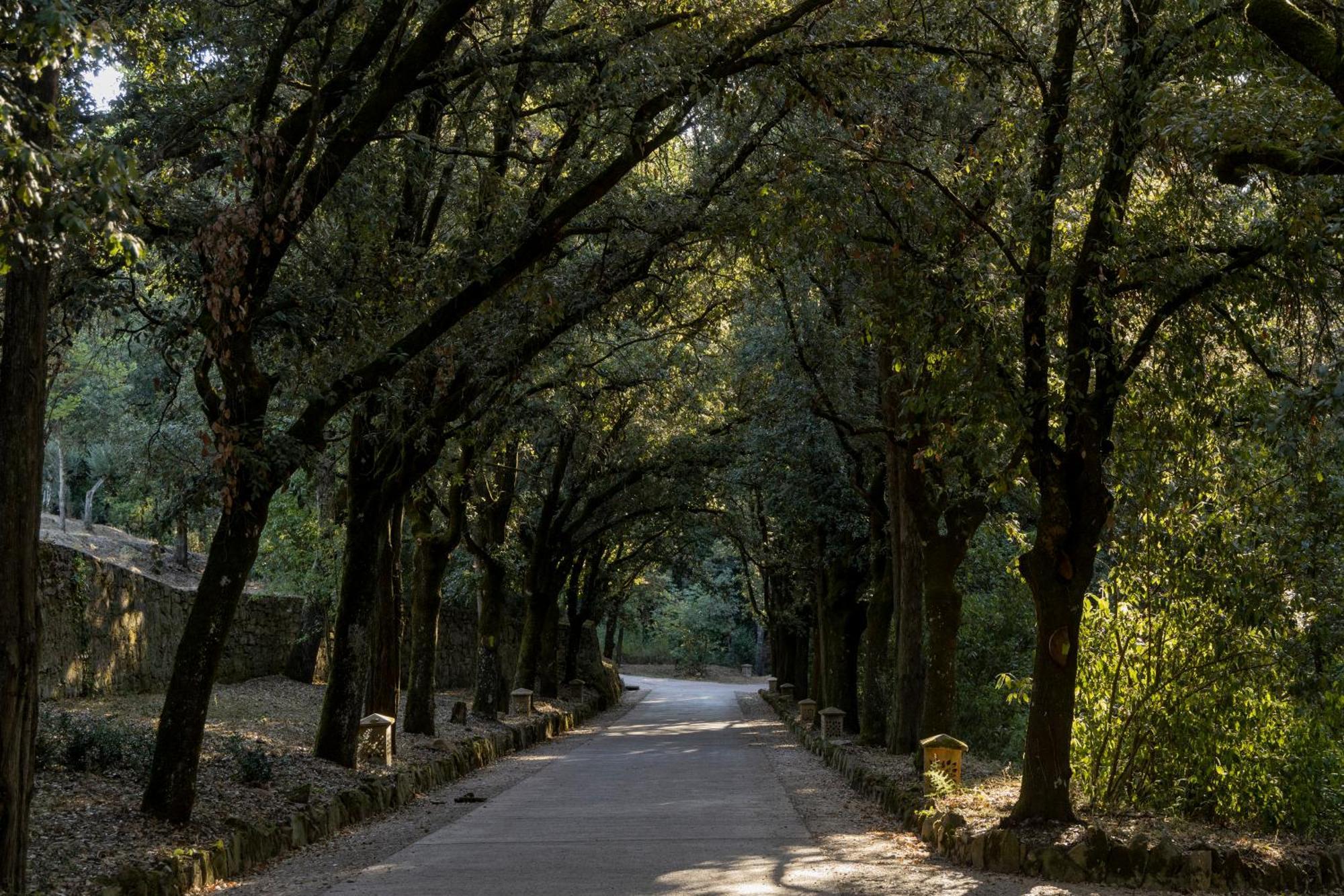 Borgo Dei Conti Resort Relais & Chateaux Perugia Eksteriør bilde